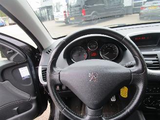 Peugeot 206+ 1.4 XS picture 13