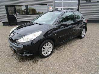 Auto incidentate Peugeot 206+ 1.4 XS 2009/8