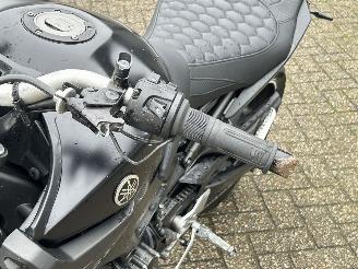 Yamaha MT-09 ABS picture 16