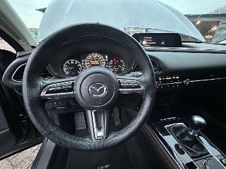 Mazda CX-30 2.0 e-SkyActive -G M Hybrid Comfort picture 13