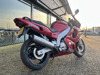 Yamaha YZF 600 R Thunder Cat picture 11