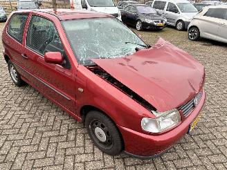 Volkswagen Polo 1.6 picture 21