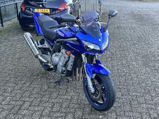 Yamaha FZS 1000 Fazer picture 7