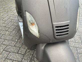 AGM  Wangye Maple picture 9