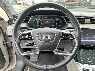 Audi E-tron 55 Quattro Advanced 95 kWh picture 18