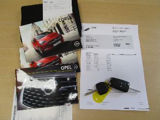 Opel Corsa-E 1.0 Turbo 120 Jaar Edition picture 30