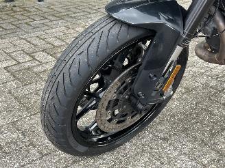 KTM  890 Duke picture 9