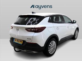 Opel Grandland X picture 3