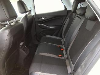 Opel Grandland X picture 10