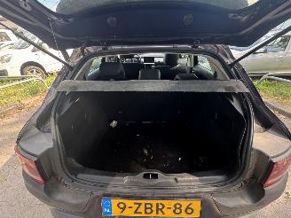 Citroën C4 cactus  picture 9
