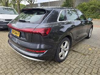 Audi E-tron 55 Quattro Plus, 1 batterij cel defect. picture 4