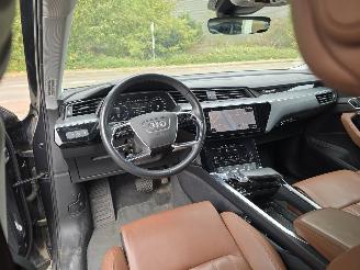 Audi E-tron 55 Quattro Plus, 1 batterij cel defect. picture 9