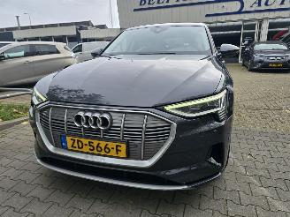 Audi E-tron 55 Quattro Plus, 1 batterij cel defect. picture 2