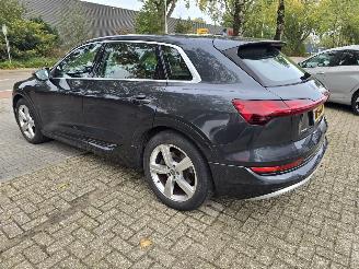 Audi E-tron 55 Quattro Plus, 1 batterij cel defect. picture 6