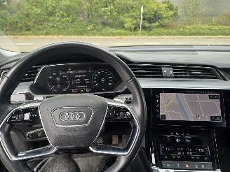 Audi E-tron 55 Quattro Plus, 1 batterij cel defect. picture 13