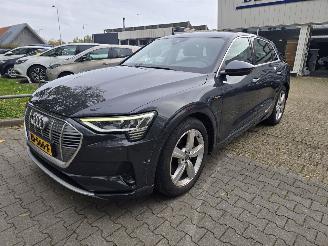 Voiture accidenté Audi E-tron 55 Quattro Plus, 1 batterij cel defect. 2019/5