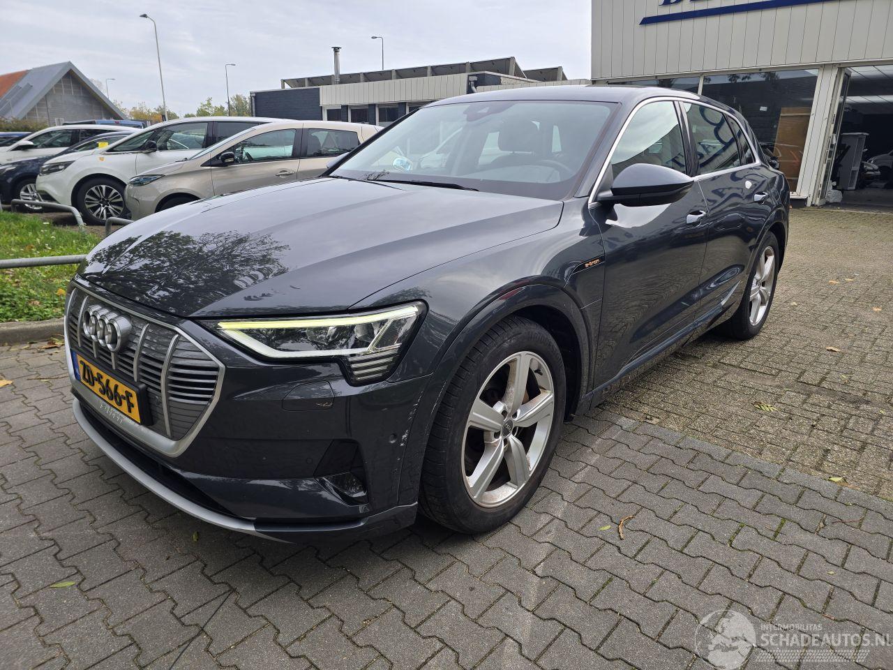 Audi E-tron 55 Quattro Plus, 1 batterij cel defect.