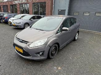 Ford C-Max 1.0 Titanium (MPV 5-dr.) picture 15