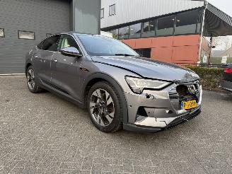 Audi E-tron 55 quattro edition 95 kWh  PANORAMADAK picture 7