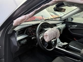 Audi E-tron 55 quattro edition 95 kWh  PANORAMADAK picture 40