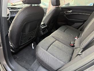 Audi E-tron 55 quattro edition 95 kWh  PANORAMADAK picture 33