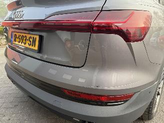 Audi E-tron 55 quattro edition 95 kWh  PANORAMADAK picture 48