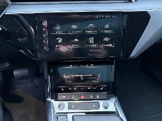 Audi E-tron 55 quattro edition 95 kWh  PANORAMADAK picture 18