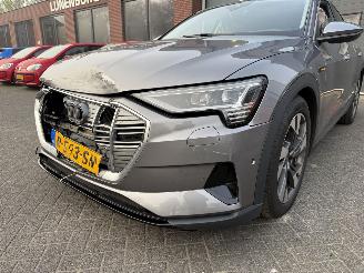 Audi E-tron 55 quattro edition 95 kWh  PANORAMADAK picture 14