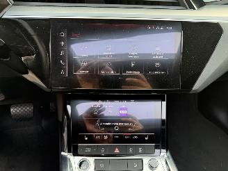 Audi E-tron 55 quattro edition 95 kWh  PANORAMADAK picture 32