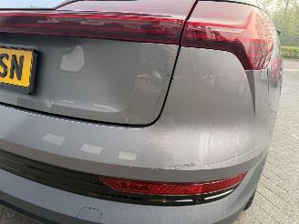 Audi E-tron 55 quattro edition 95 kWh  PANORAMADAK picture 12