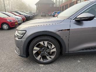 Audi E-tron 55 quattro edition 95 kWh  PANORAMADAK picture 46