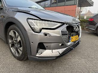 Audi E-tron 55 quattro edition 95 kWh  PANORAMADAK picture 13