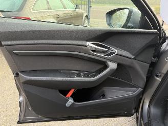 Audi E-tron 55 quattro edition 95 kWh  PANORAMADAK picture 41