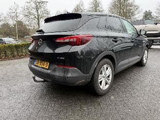 škoda osobní automobily Opel Grandland 1.2 Turbo Online Edition (SUV 5-dr.) 2018/3