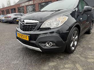 Opel Mokka 1.6 Cosmo (SUV 5-dr.) picture 30
