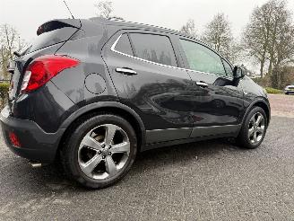 Opel Mokka 1.6 Cosmo (SUV 5-dr.) picture 36