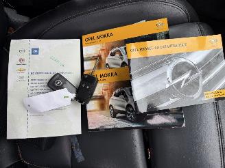 Opel Mokka 1.6 Cosmo (SUV 5-dr.) picture 32