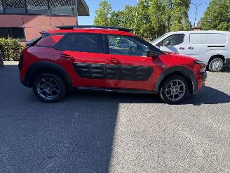 Citroën C4 cactus 1.2 PureTech Shine (SUV 5-dr.) picture 6