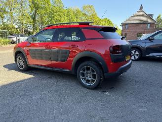 Citroën C4 cactus 1.2 PureTech Shine (SUV 5-dr.) picture 24
