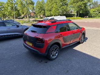 Citroën C4 cactus 1.2 PureTech Shine (SUV 5-dr.) picture 15