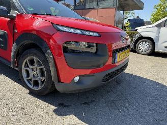 Citroën C4 cactus 1.2 PureTech Shine (SUV 5-dr.) picture 26