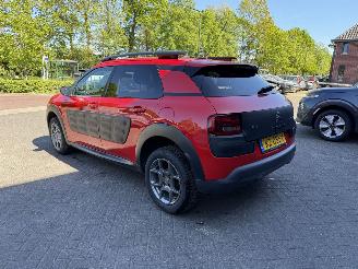 Citroën C4 cactus 1.2 PureTech Shine (SUV 5-dr.) picture 3