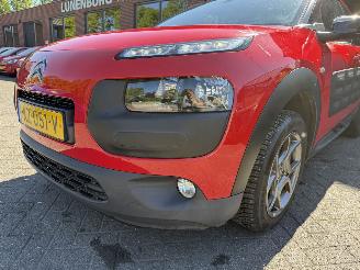 Citroën C4 cactus 1.2 PureTech Shine (SUV 5-dr.) picture 25