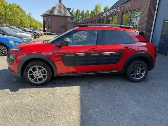 Citroën C4 cactus 1.2 PureTech Shine (SUV 5-dr.) picture 2