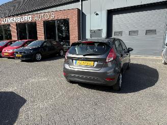 Coche accidentado Ford Fiesta 1.25 (Hatchback 5-dr.) 2017/5