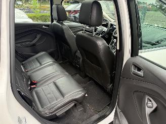 Ford C-Max 2.0 Plug-in Hybrid Titanium Plus (MPV 5-dr.) picture 16