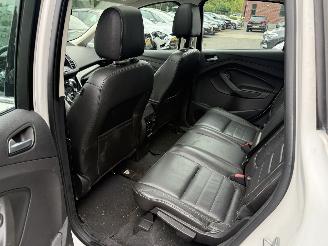 Ford C-Max 2.0 Plug-in Hybrid Titanium Plus (MPV 5-dr.) picture 18