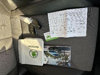 Skoda Enyaq IV 80X 265PK 4x4 picture 25