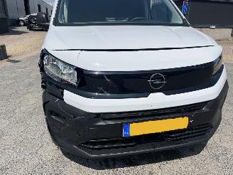 Opel Combo 1.5 BlueHDi 100 S&S L2 picture 10