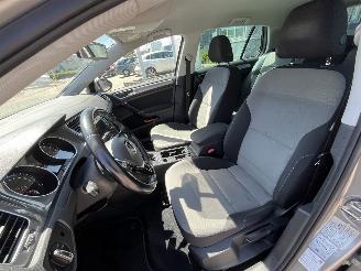 Volkswagen e-Golf  picture 13